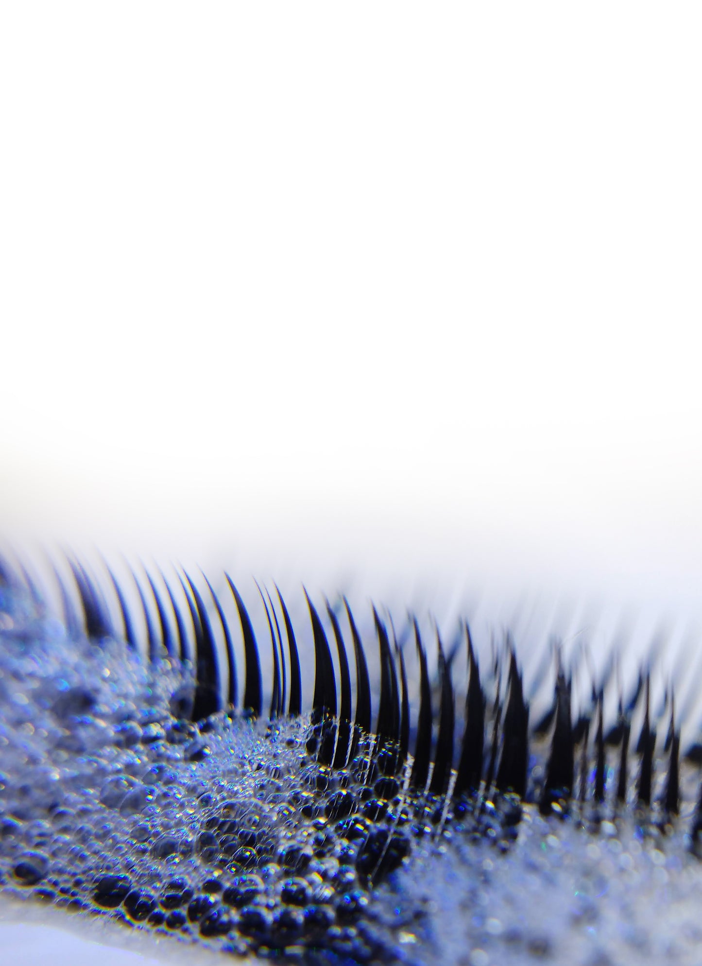 Oceana Lashfoam Mango 60ml inkl. Bürsten